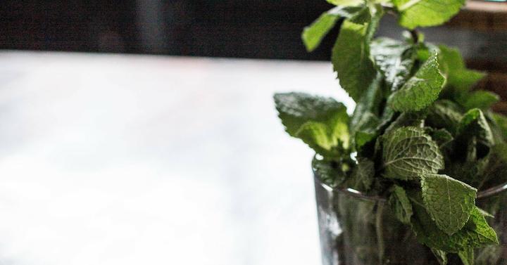 daun mint untuk membuat hair mask
