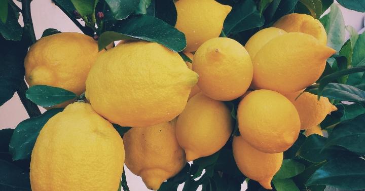 kecilkan pori wajah dengan jeruk lemon